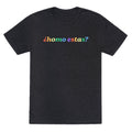Homo Estas Rainbow Unisex Triblend Tee