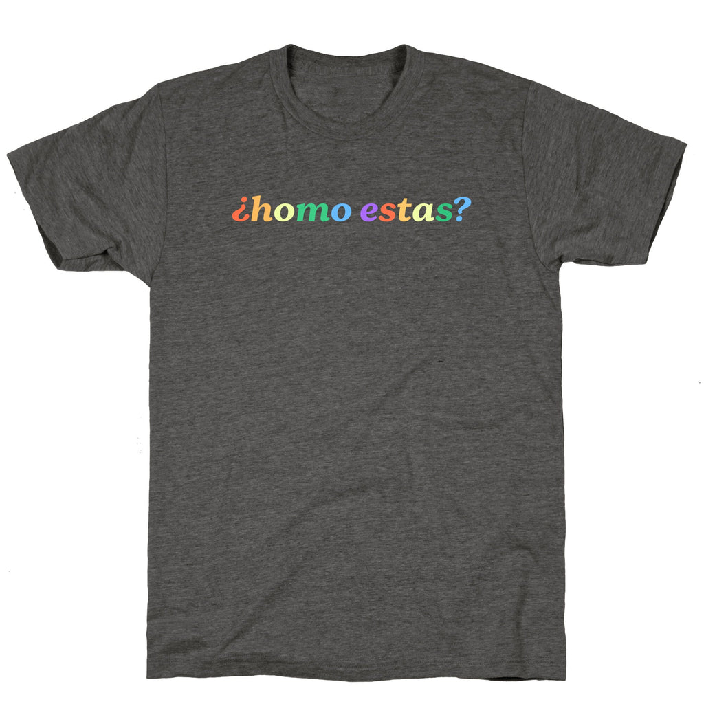 Homo Estas Rainbow Unisex Triblend Tee