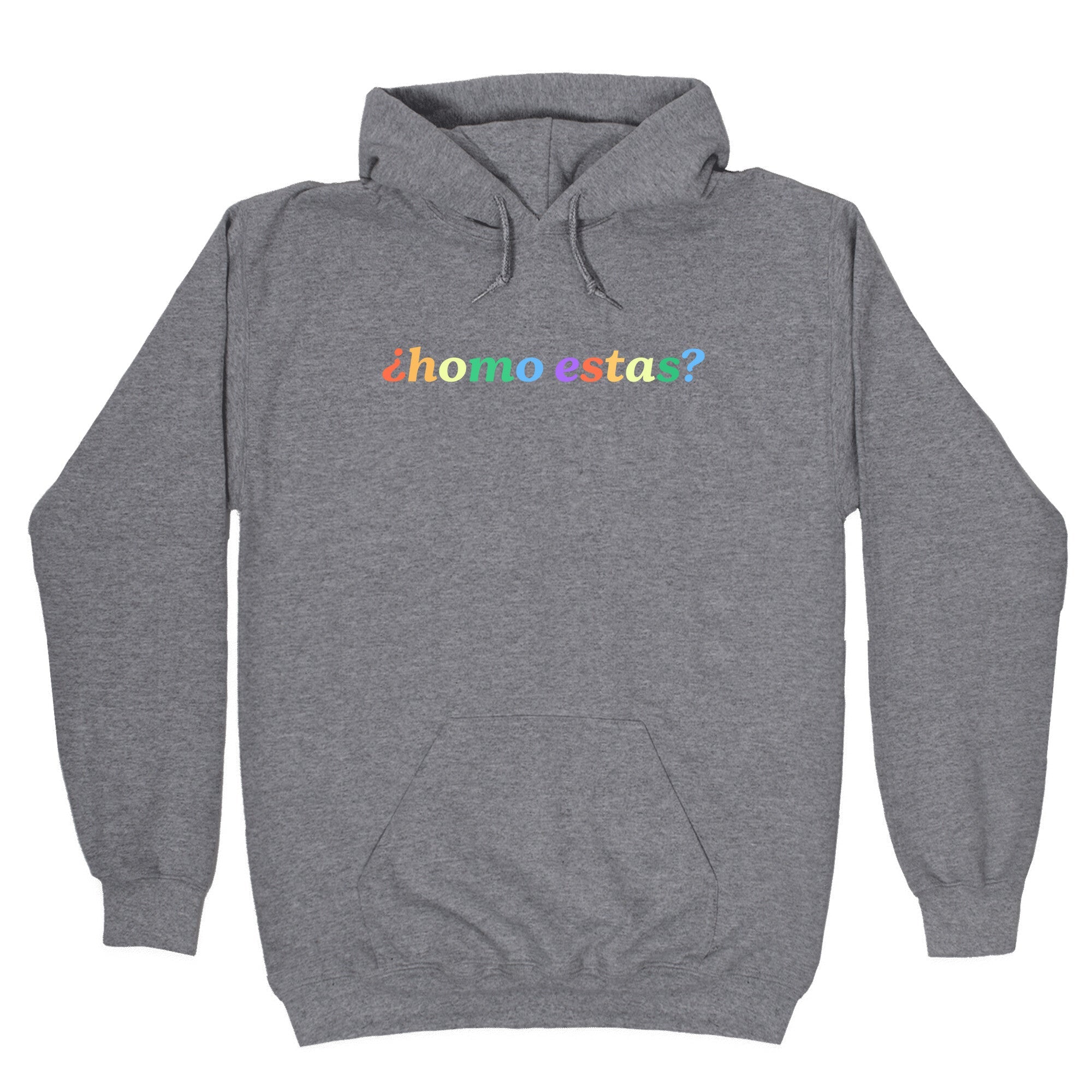 Homo Estas Rainbow Hoodie