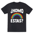 Homo Estas Rainbow Pride Unisex Triblend Tee
