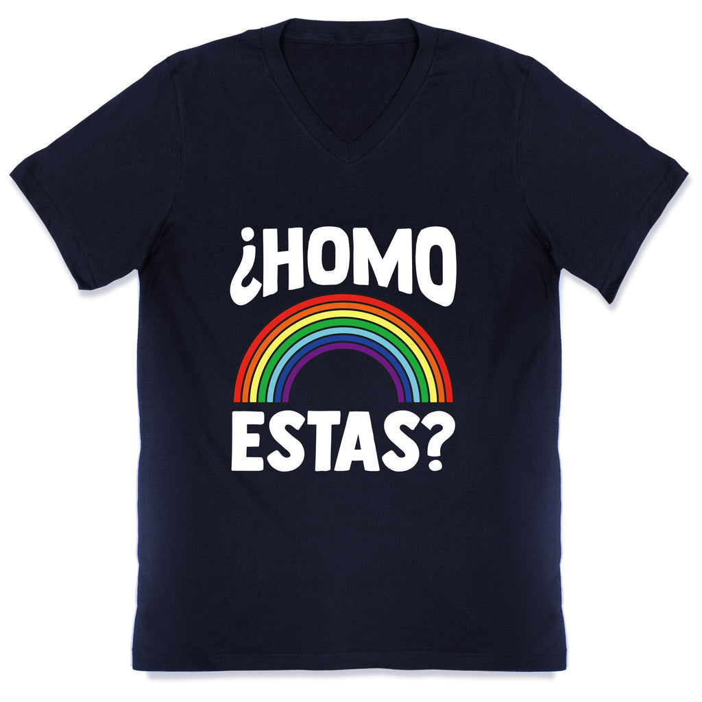 Homo Estas Rainbow Pride V-Neck