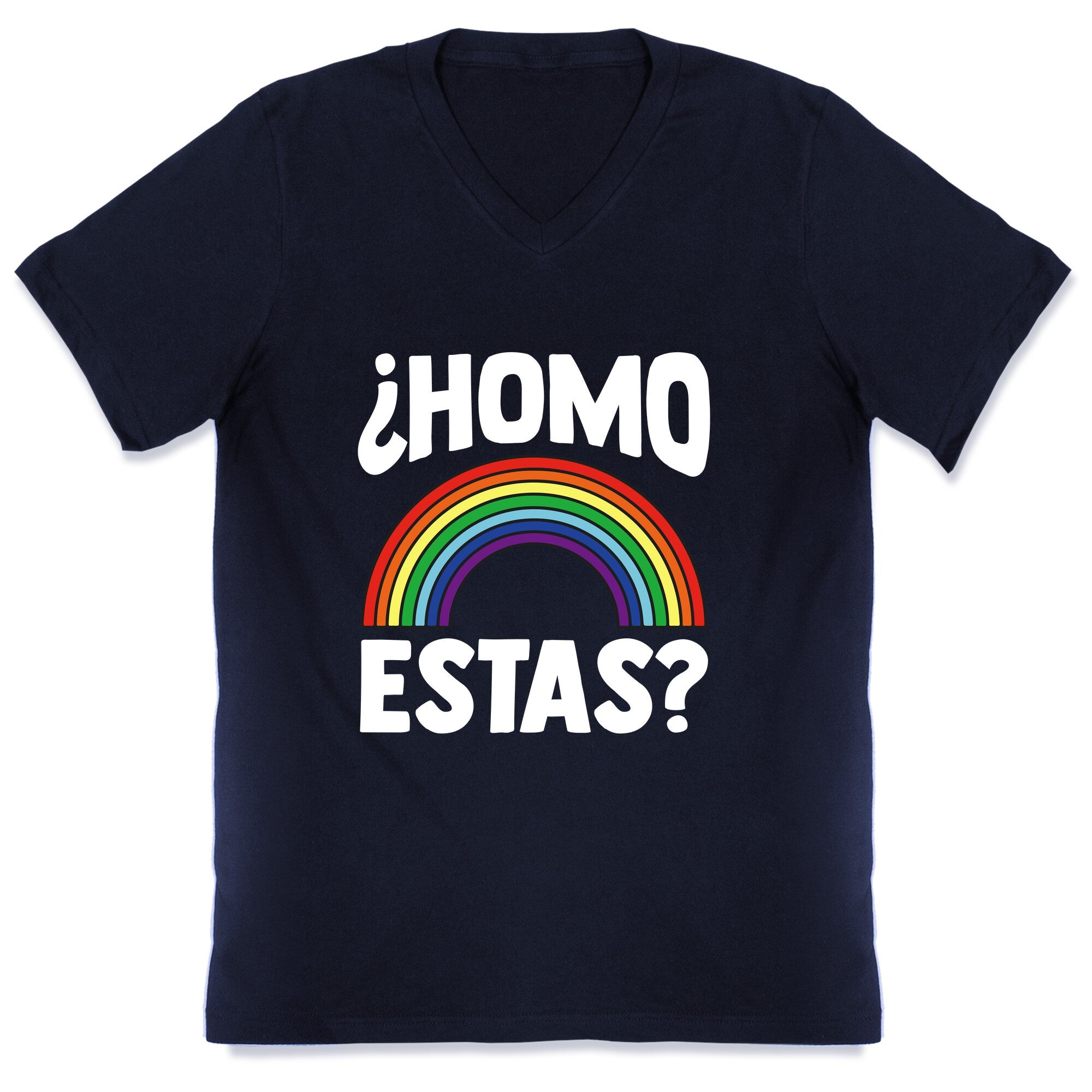 Homo Estas Rainbow Pride V-Neck