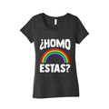 Homo Estas Rainbow Pride Womens Triblend Tee