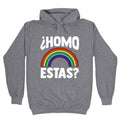 Homo Estas Rainbow Pride Hoodie