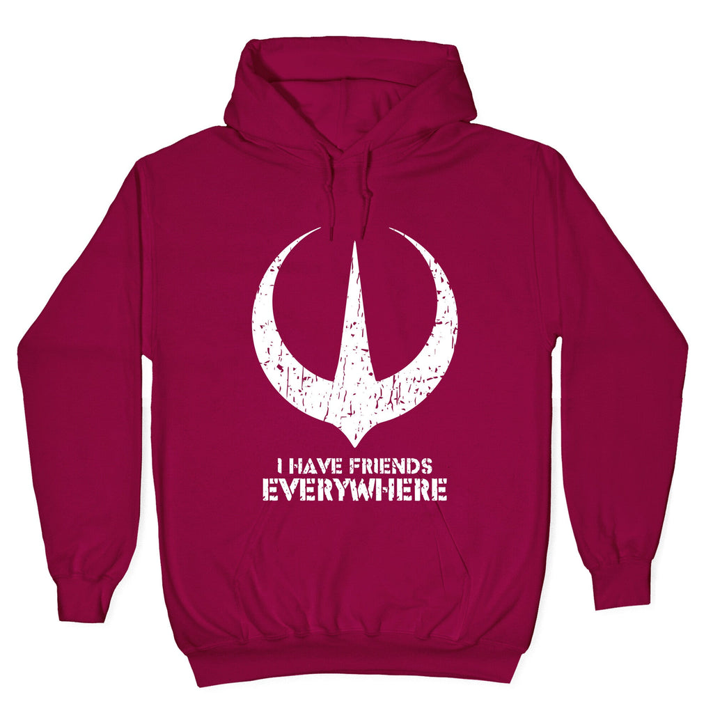 I Have Friends Everywhere Hoodie