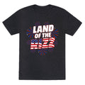 Land of the Rizz Unisex Triblend Tee