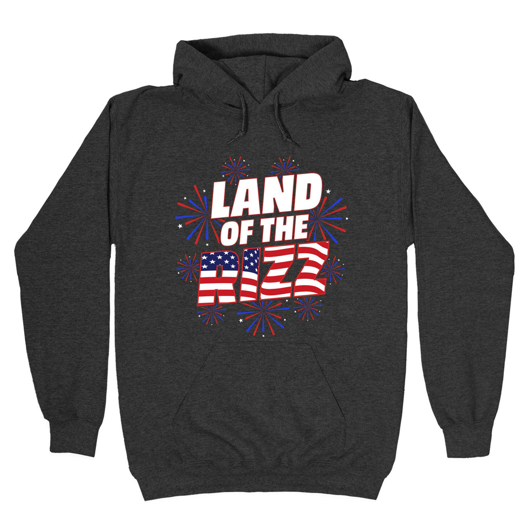 Land of the Rizz Hoodie