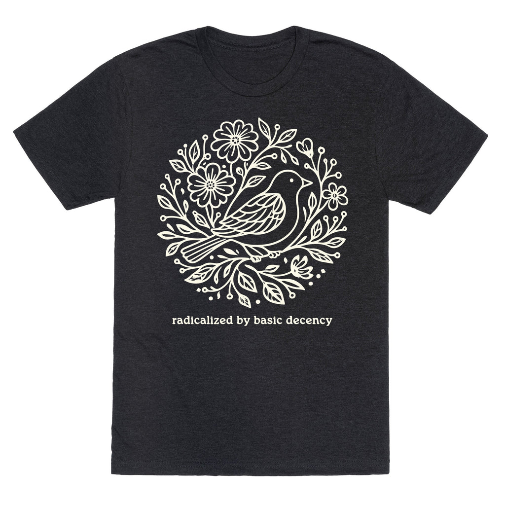 Radicalized By Basic Decency Unisex Triblend Tee
