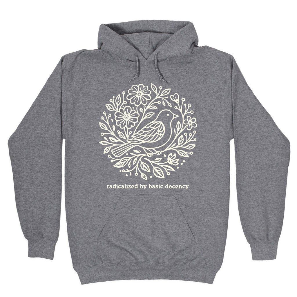 Radicalized By Basic Decency Hoodie