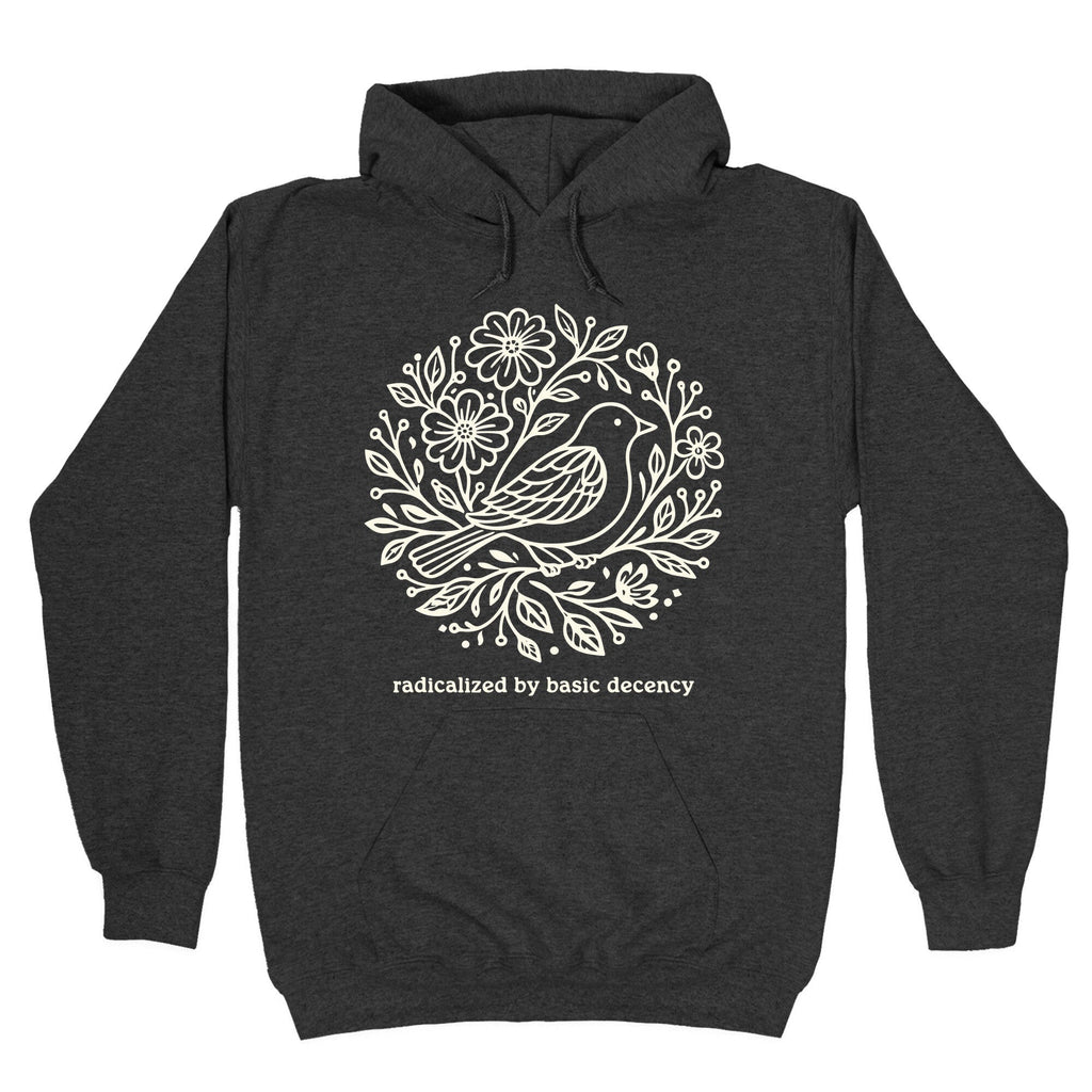 Radicalized By Basic Decency Hoodie
