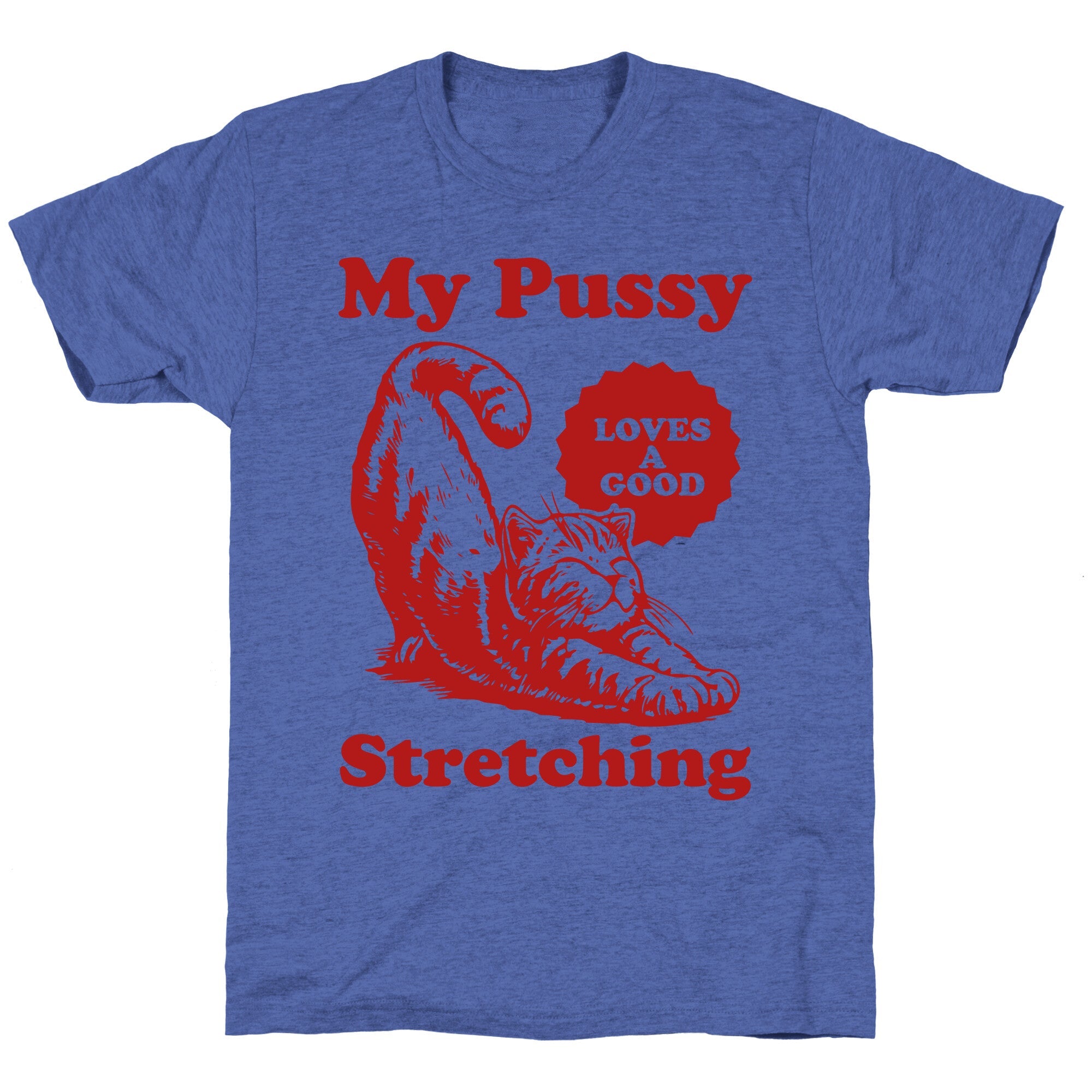 My Pussy Loves A Good Stretching Unisex Triblend Tee