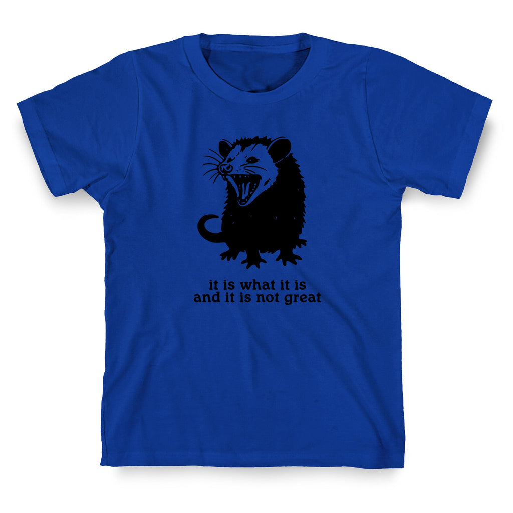 It Is What It Is T-Shirt