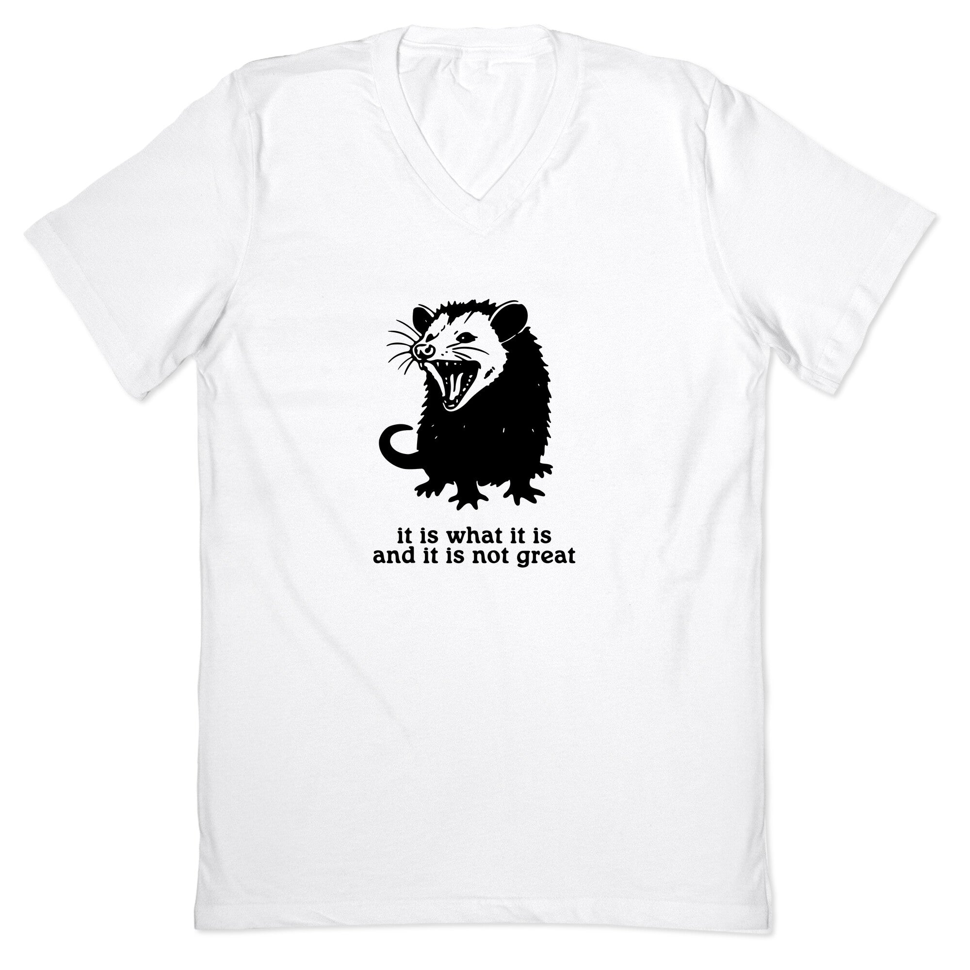 It Is What It Is V-Neck