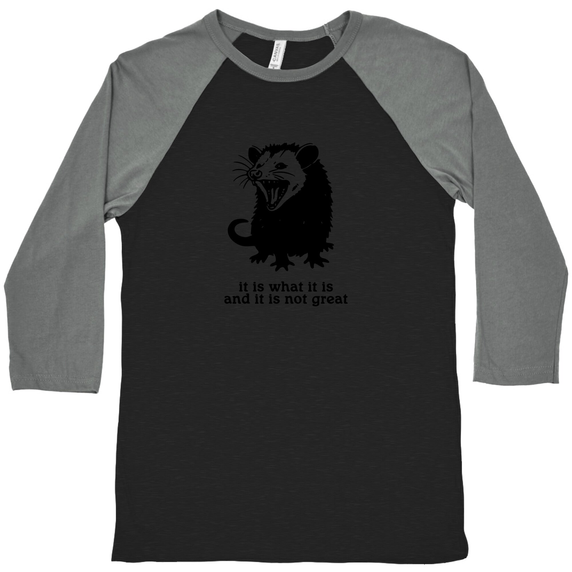 It Is What It Is Baseball Tee