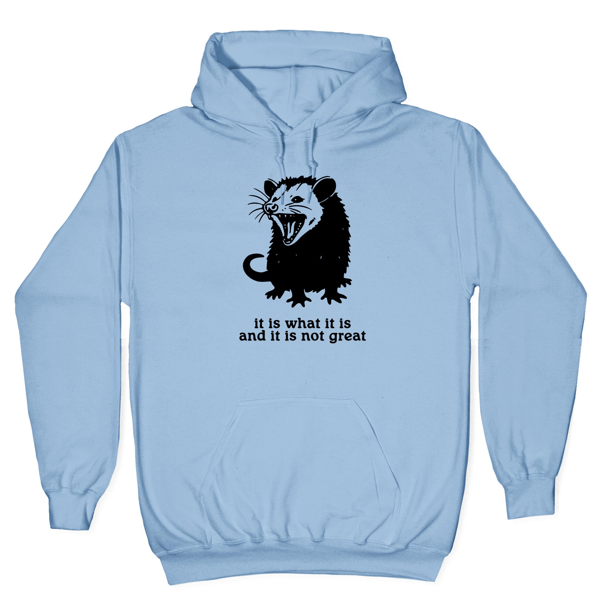 It Is What It Is Hoodie