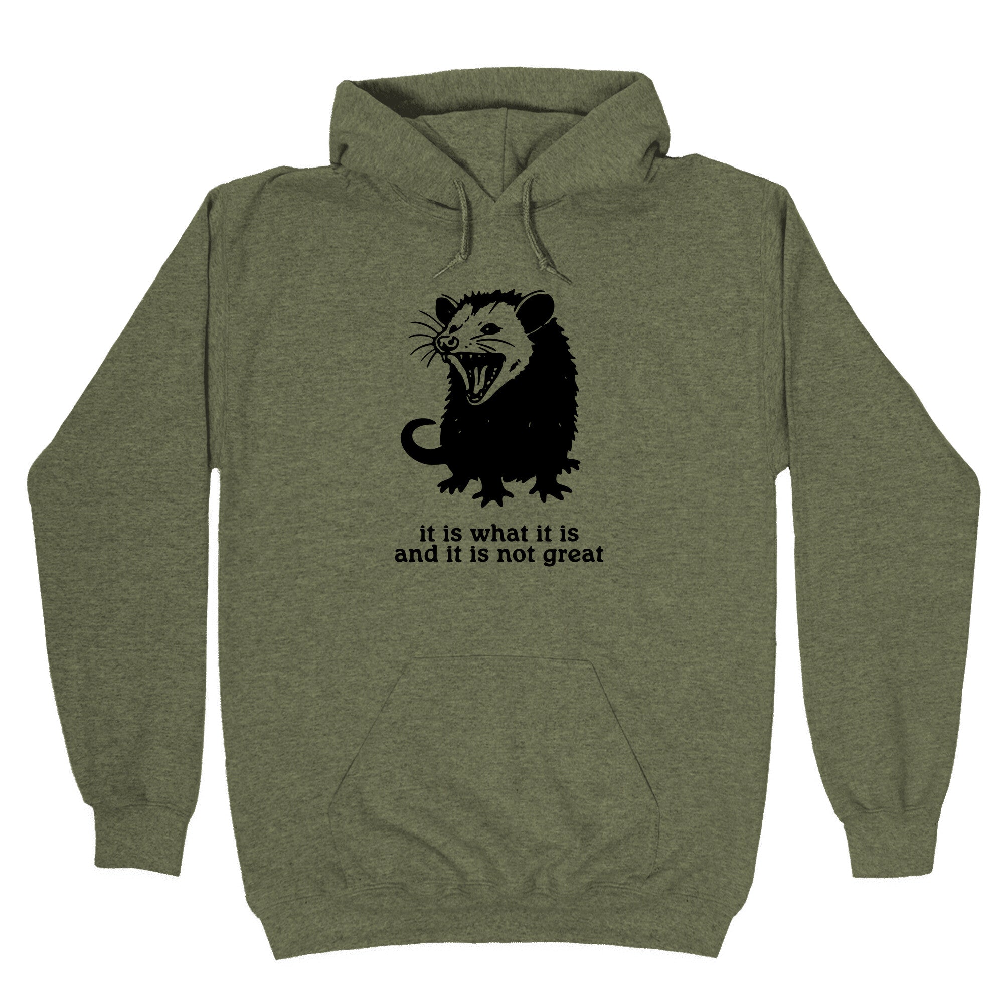 It Is What It Is Hoodie