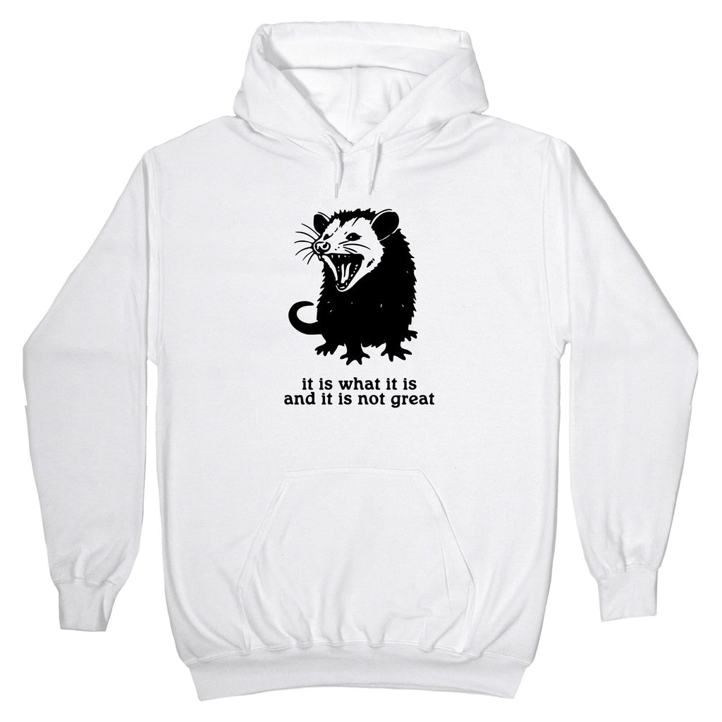 It Is What It Is Hoodie