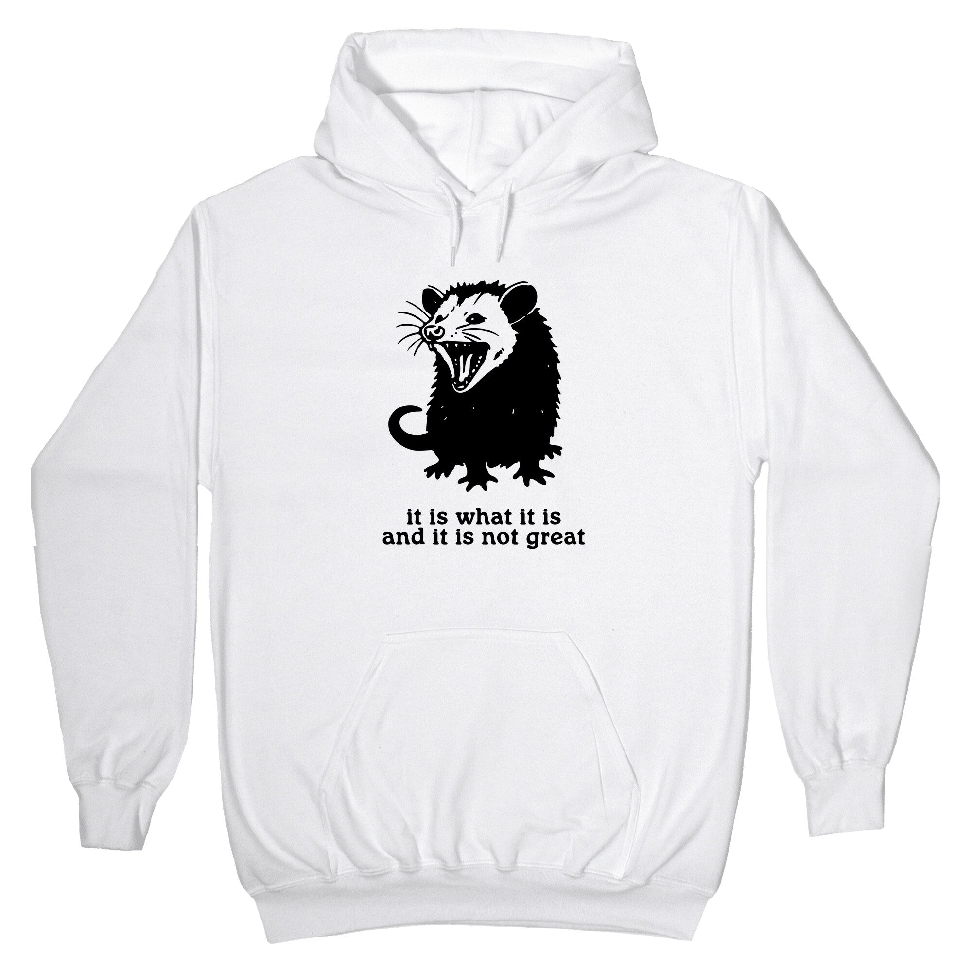 It Is What It Is Hoodie