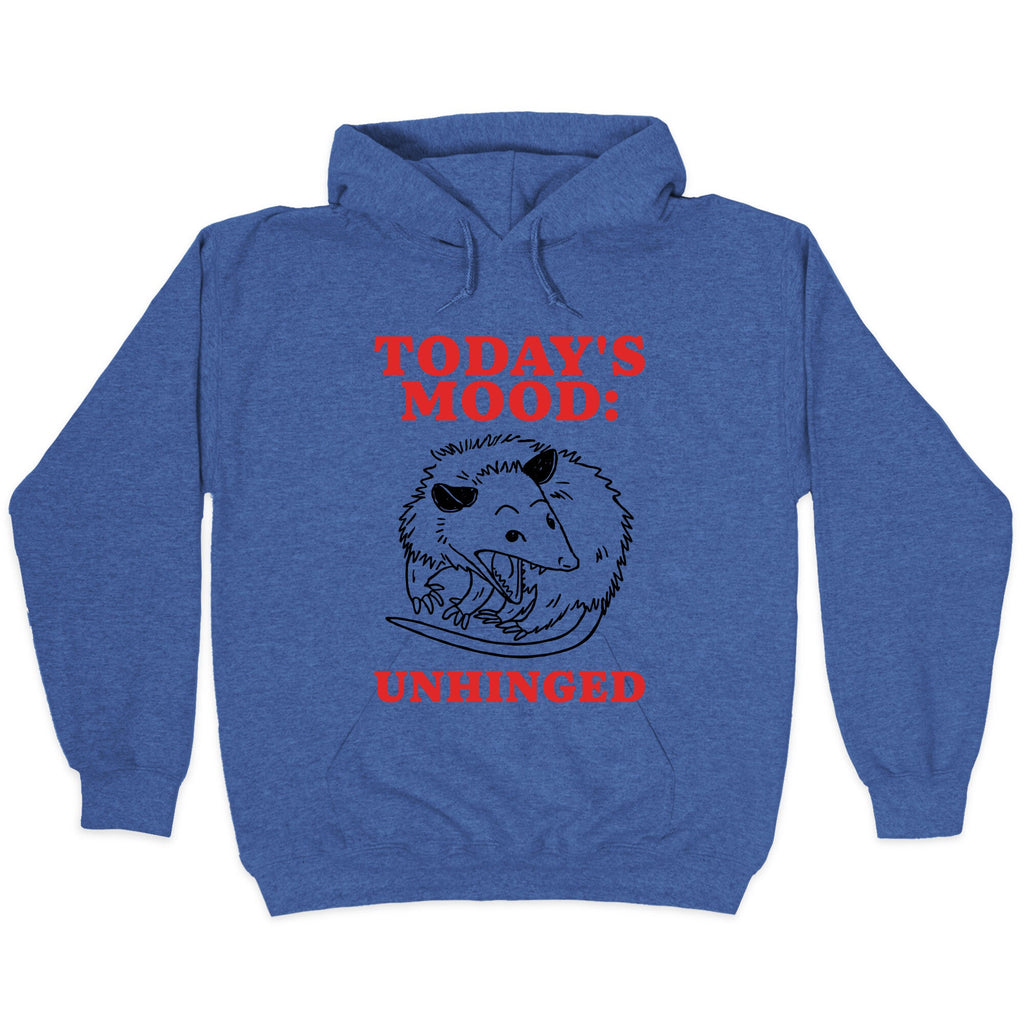 Todays Mood: Unhinged Hoodie