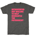Introverted Unisex Triblend Tee