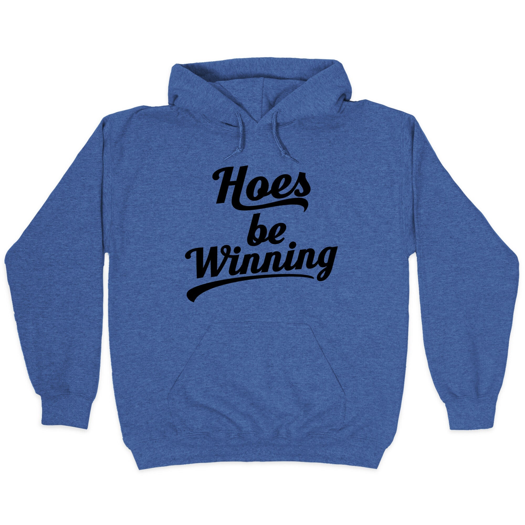 Hoes be Winning Hoodie