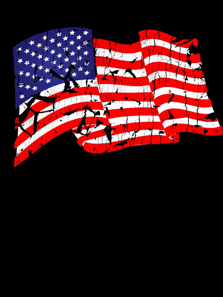 United States of America | USA Flag T-Shirt by AllStarMerch
