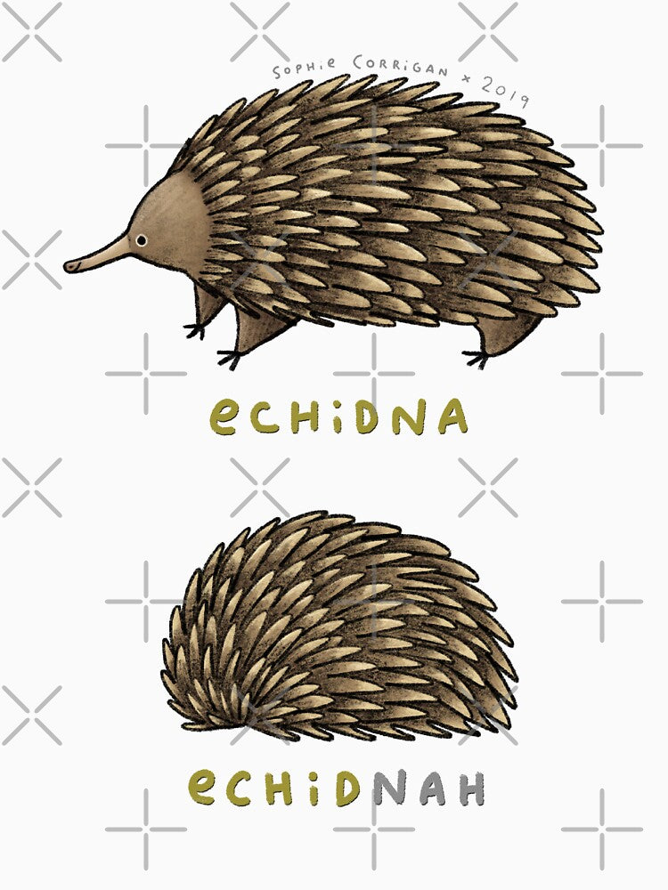 Echidna Echidnah by SophieCorrigan