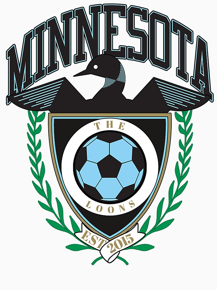 Minnesota Soccer by egment