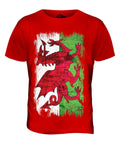 WALES GRUNGE FLAG MENS T SHIRT TEE SHIRT XS S M L XL 2XL 3XL 4XL 5XL