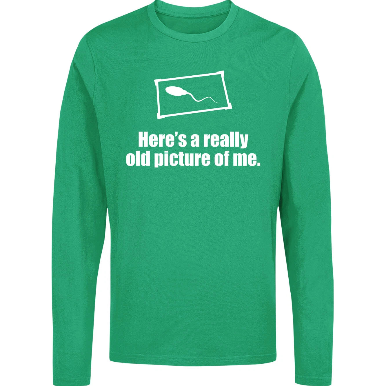 Here's a Really Old Picture of Me Long Sleeve T Shirt,Funny Sarcastic Gift Tee