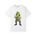 Shrek T-shirt, Funny / Meme Shrek / Brainrot / For Humor