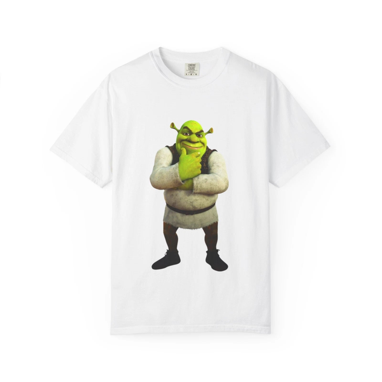 Shrek T-shirt, Funny / Meme Shrek / Brainrot / For Humor