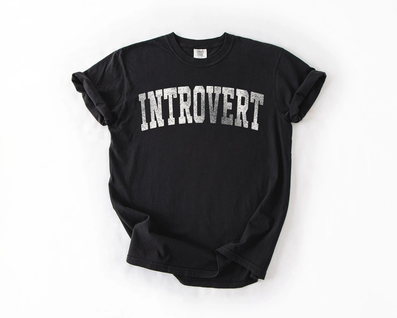 Introvert Shirt, Funny T Shirt, Introvert Humor, Retro Graphic Tee, Homebody