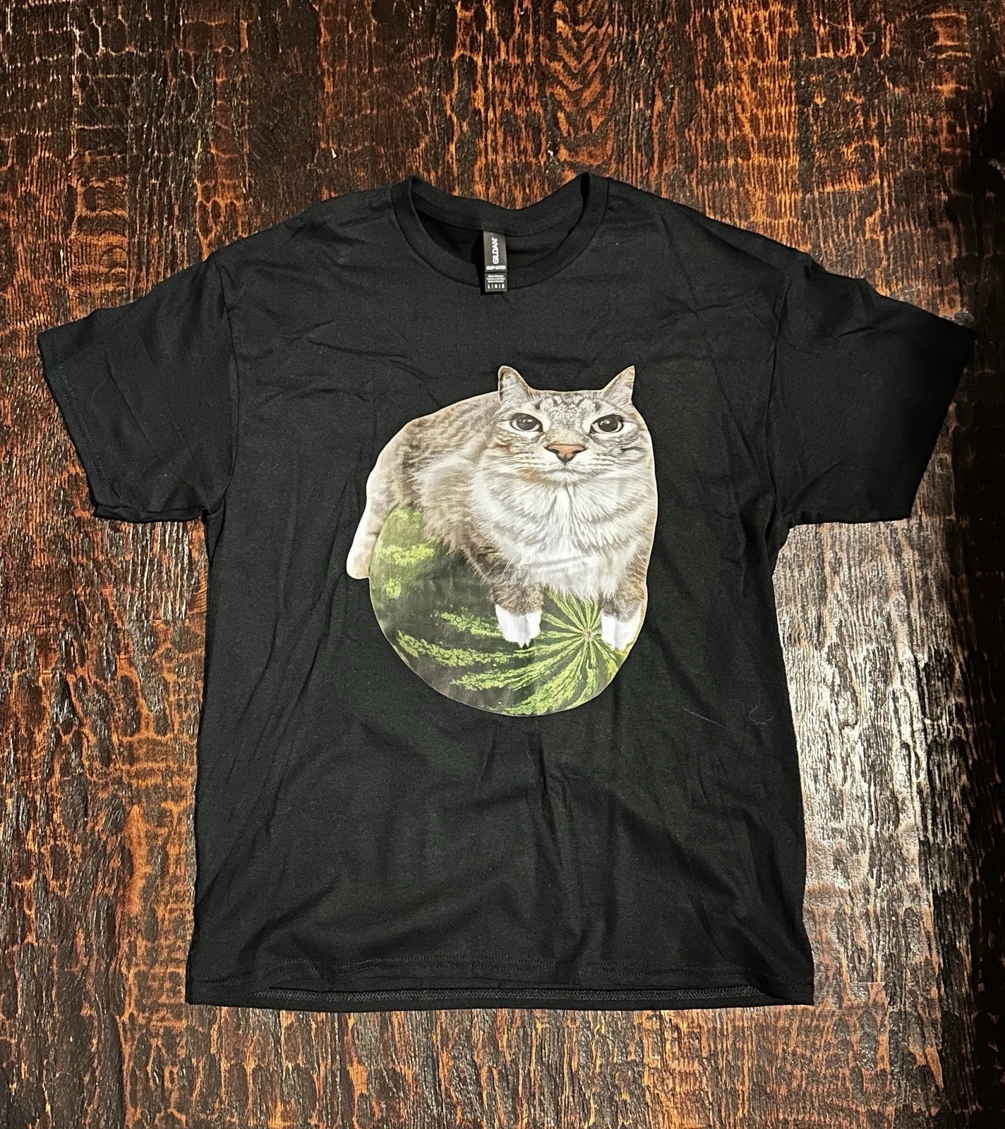 Cat on Watermelon Meme Irony Black Men's T Shirt Size L