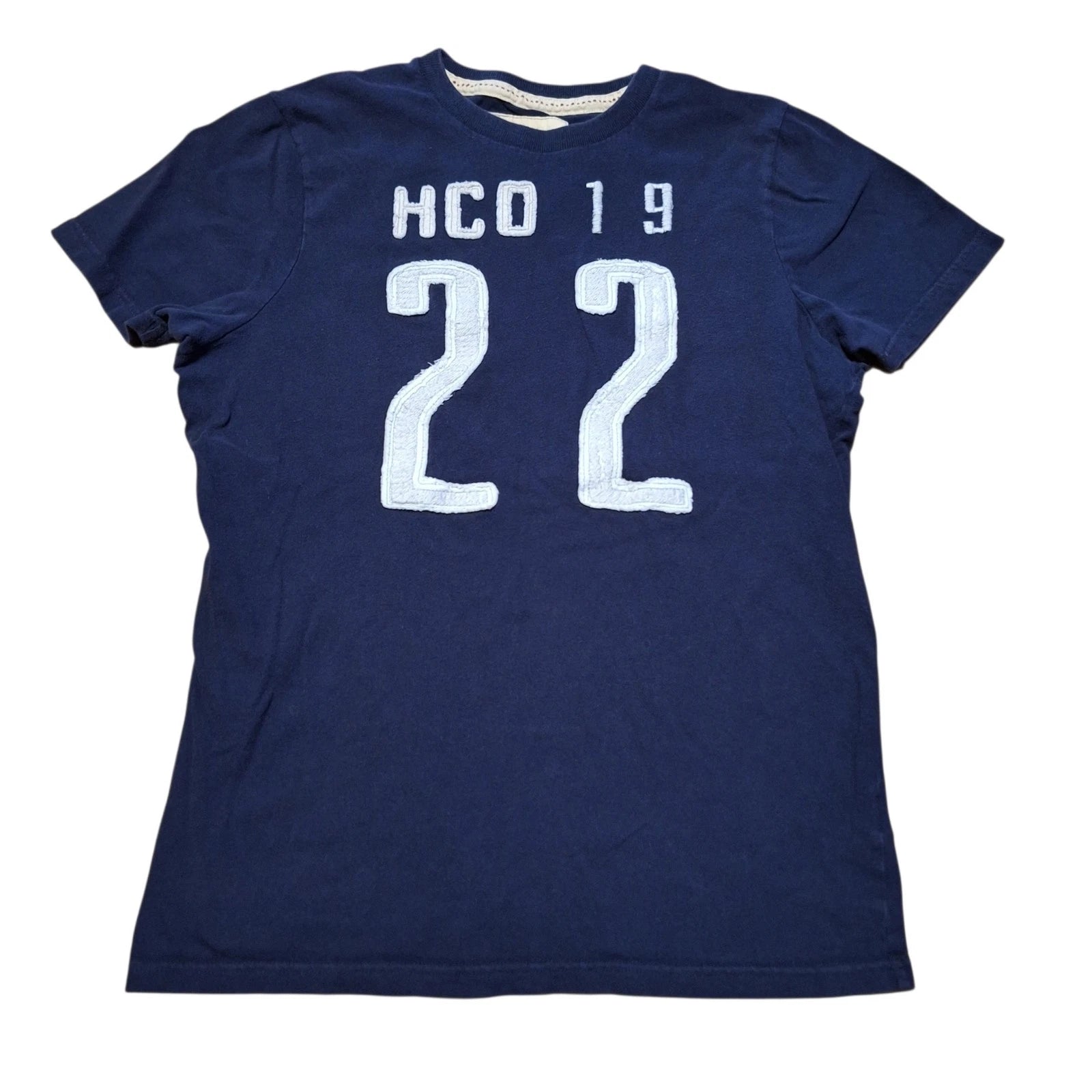 Vtg Hollister T-shirt Mens XL Preppy Y2K Varsity Letters 90s Grunge 100% Cotton