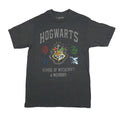 Harry Potter New Adult T-Shirt - Hogwarts School of Witchcraft & Wizardry