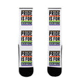 Pride Is For Everyone Socks