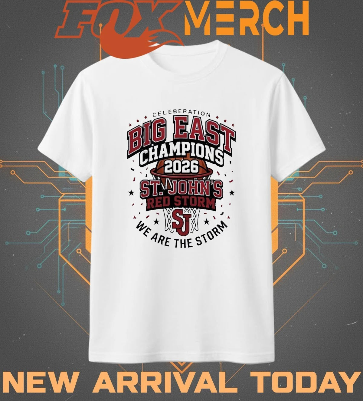 St. John’s Red Storm Big East Champions 2026 we are the storm t-shirt
