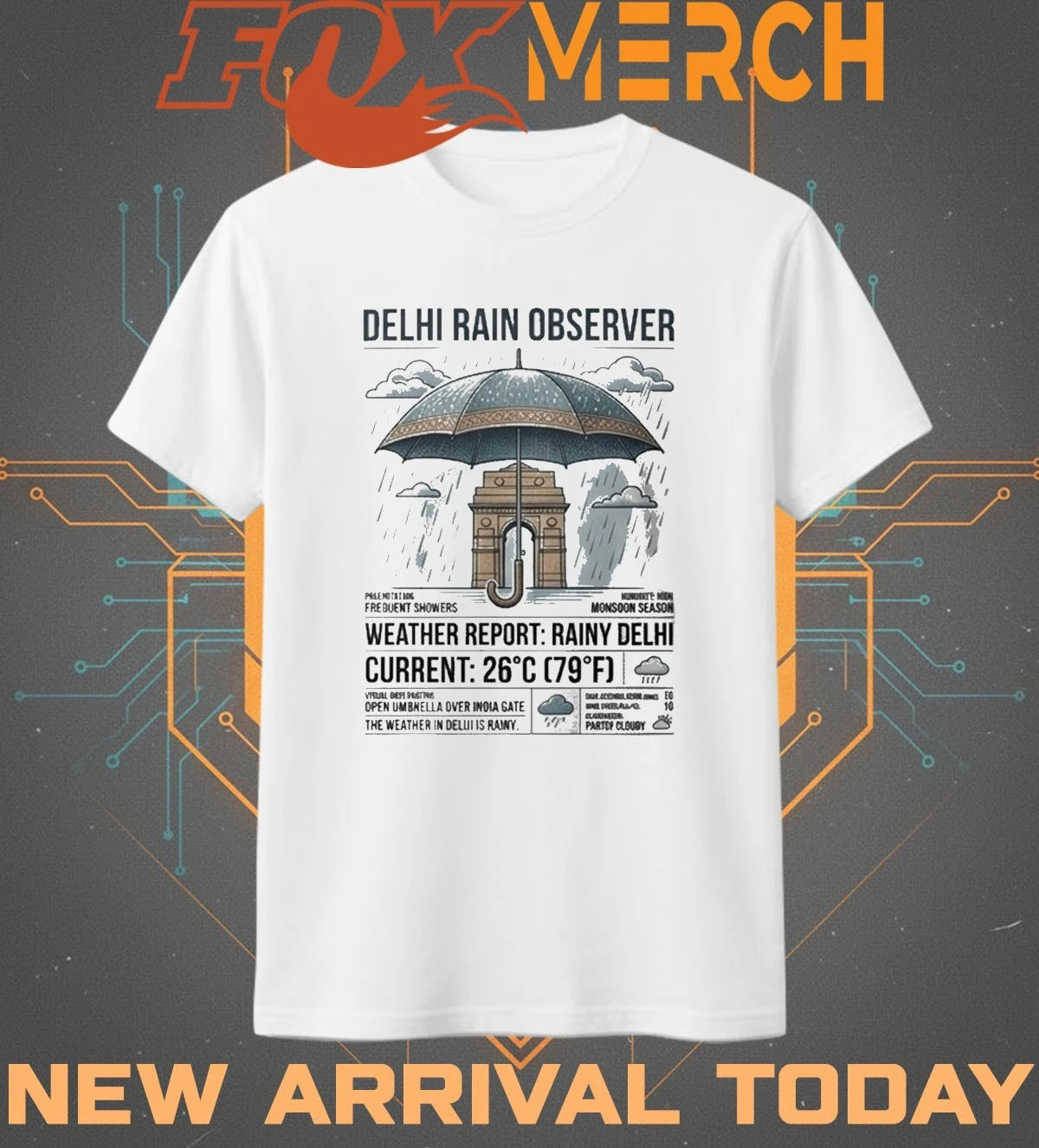 The weather in Delhi is rainy t-shirt