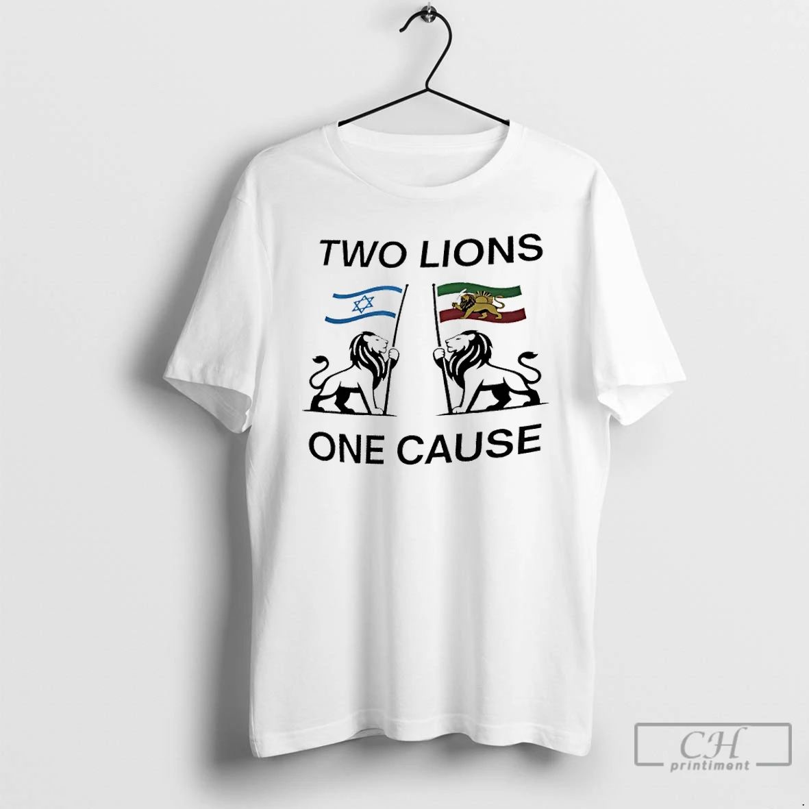 Classic Two Lions One Cause Israel Iran Flag