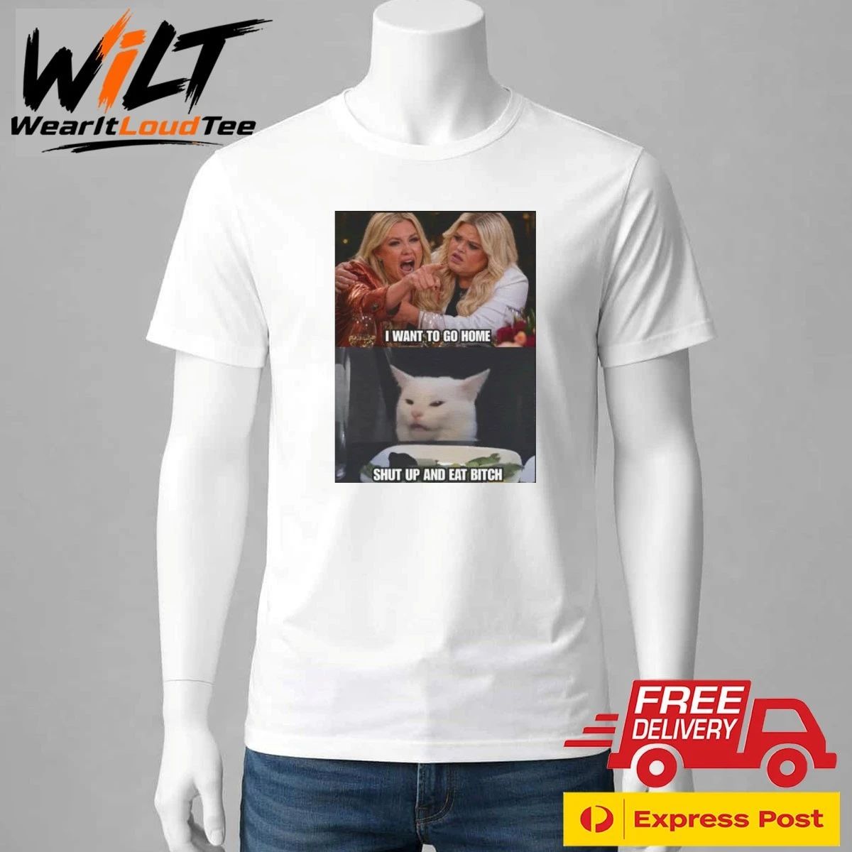 Erika Kirk and Druski I Want To Go Home Smudge the Cat Meme Shirt