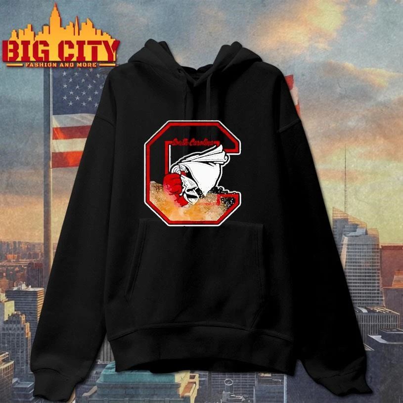 Sandstorm South Carolina Gamecocks Football Logo Shirt