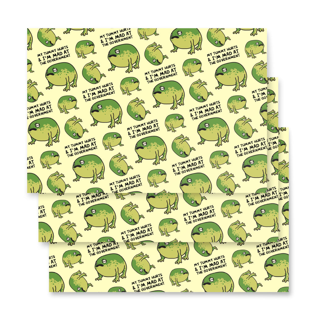 My Tummy Hurts & I'm Mad At The Government Wrapping Paper Sheets