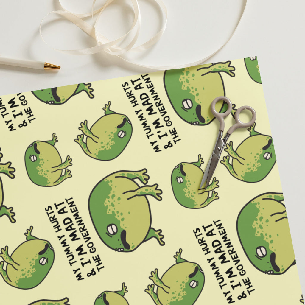 My Tummy Hurts & I'm Mad At The Government Wrapping Paper Sheets
