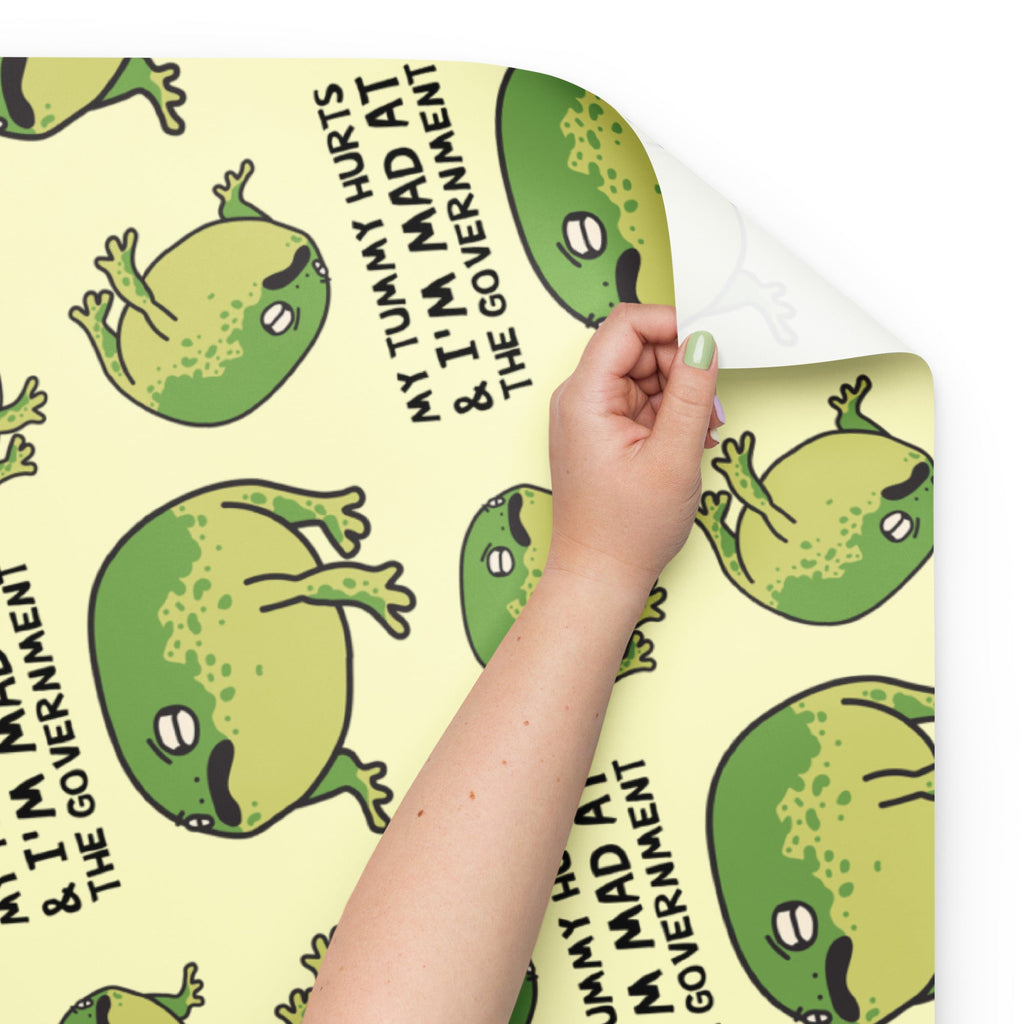 My Tummy Hurts & I'm Mad At The Government Wrapping Paper Sheets
